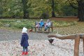 IMG_0043
