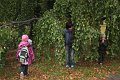IMG_9961