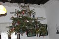 IMG_0345