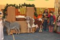 IMG_0373