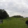 P1010111
