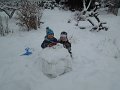 DSCN0136