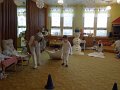DSCN0280