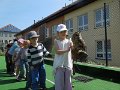 DSCN6479