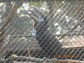 DSCN0487