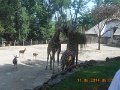 DSCN0488