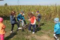 IMG_3950
