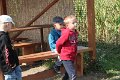 IMG_3951