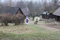 IMG_4276