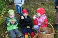 IMG_4038