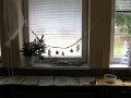 IMG_0331