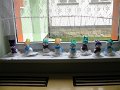 IMG_0335