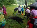 DSCN0205