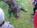IMG_0357