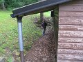 IMG_0364