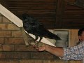 IMG_0375