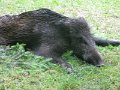 IMG_0392