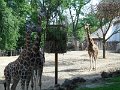 DSCN0011