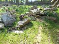 DSCN0019