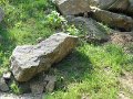 DSCN0020