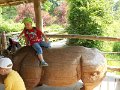 DSCN0028
