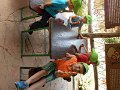DSCN0043