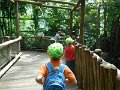 DSCN0050
