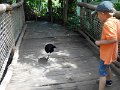 DSCN0052