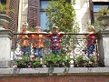 DSCN0060