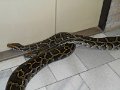 DSCN0071