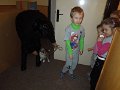 DSCN3993