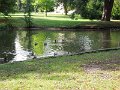 DSCN2901