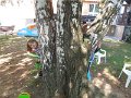 DSCN2658