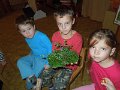 DSCN3405