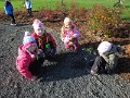DSCN3786