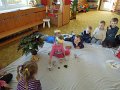 DSCN4256