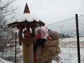 DSCN4695