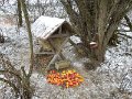 DSCN4715