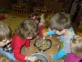 DSCN4731