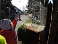 DSCN4951