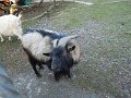DSCN4953