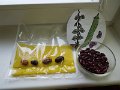 DSCN5405