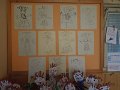 DSCN5455