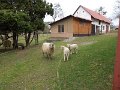 DSCN5390
