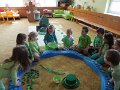 DSCN5619