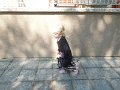 DSCN6191