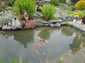 DSCN6224