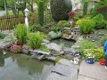 DSCN6244