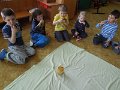 DSCN6037