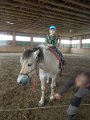 DSCN6575